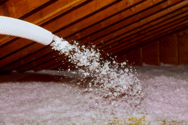 Types of Insulation We Offer in Maili, HI