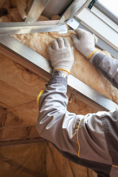 Best Commercial Insulation in Maili, HI